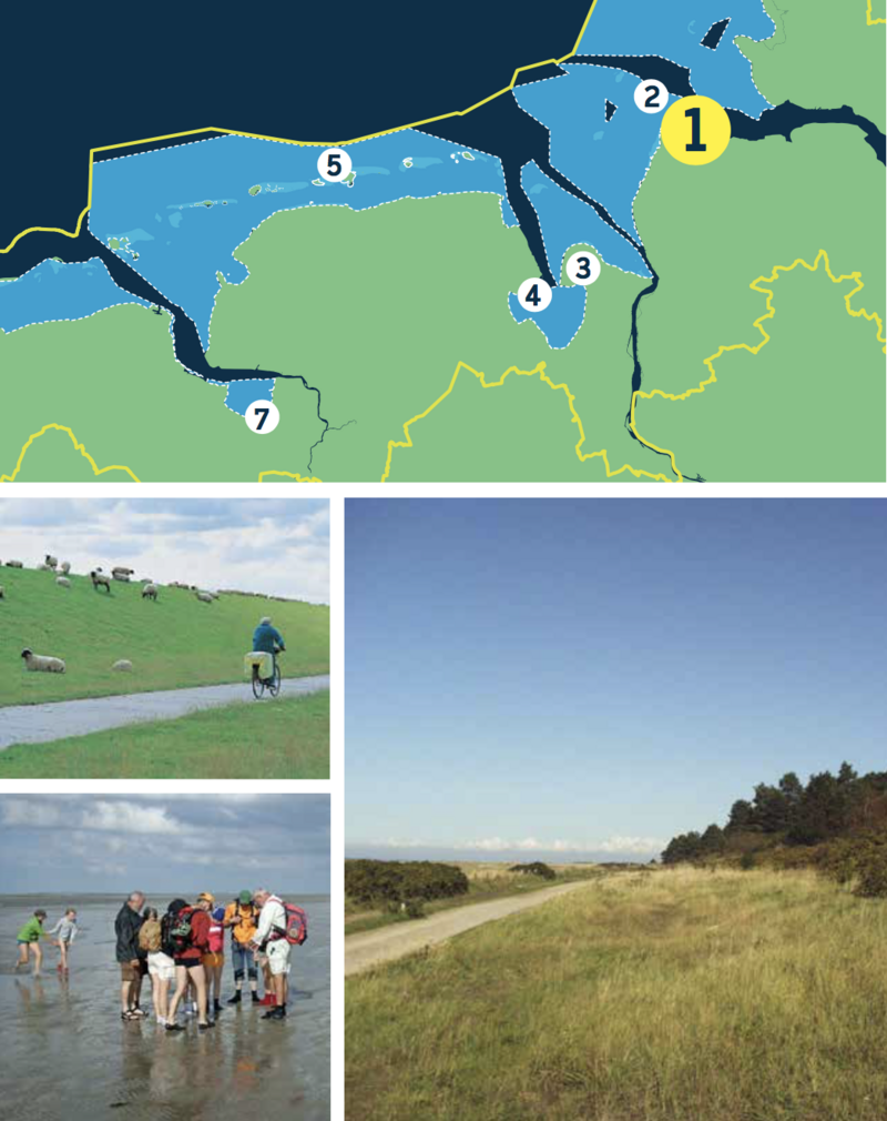 Compilation of a map of the Lower Saxon Wadden Sea and three pictures: Clyclists passing sheep on dyke, mudflat hiking group, path through dune landscape with vegetation.