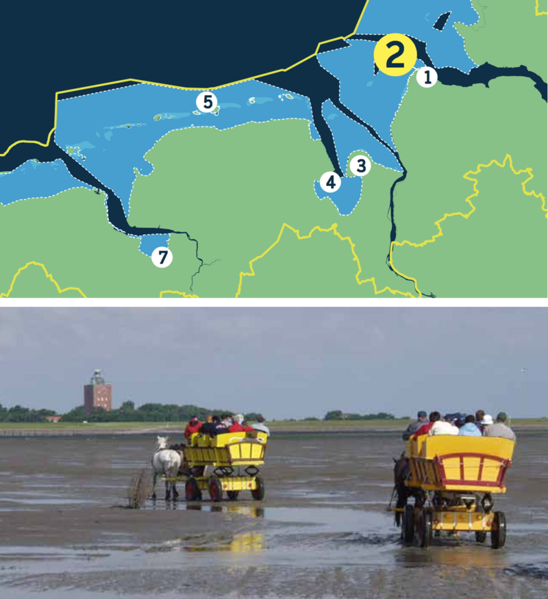 Compilation of a map of the Lower Saxon Wadden Sea and picture showing to horse coaches on mudflat heading towards an island.