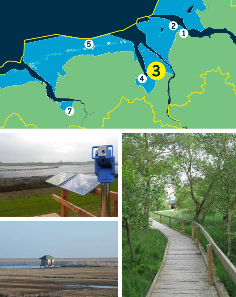 Compilation of a map of the Lower Saxon Wadden Sea and three pictures: observation platform in front of mudflat, birdwatching hut in salt marsh, wooden path through green meadow.