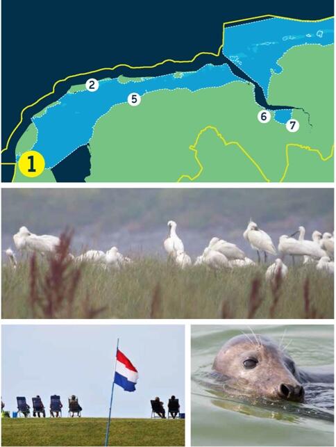 Compilation of a map of the Dutch Wadden Sea and three pictures: spoonbills in marsh, people sitting on dyke and Dutch flat, seal with head above water.