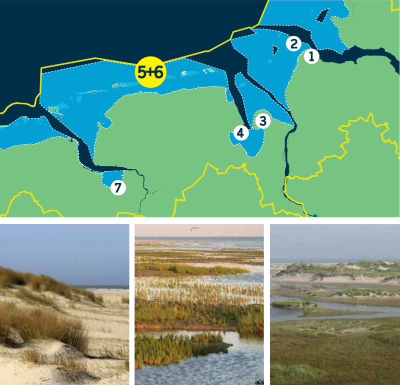 Compilation of a map of the Lower Saxon Wadden Sea and three pictures of Wadden Sea habitats: dunes, salt marsh/ mudflats, salt marsh/dunes.