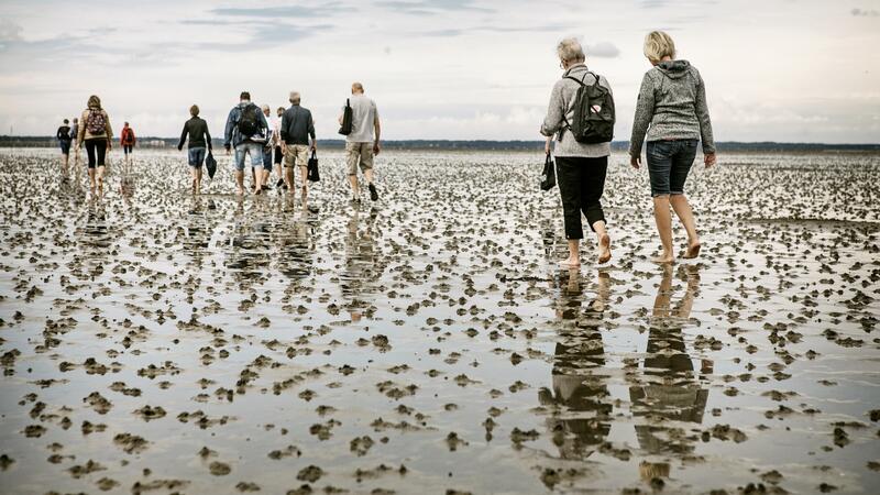 Tour to Langli. Nationalpark Vadehavet/Red Star.