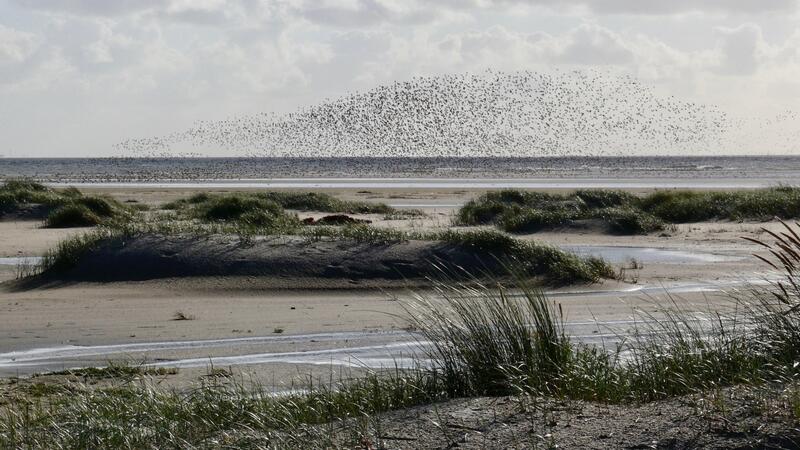 Dunes at Langeoog. Hans-Ulrich Rösner.
