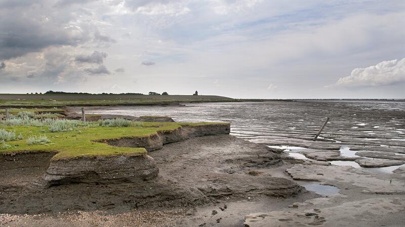 Salt marsh and mudflat. Marcel van Kammen/ Waddenagenda.